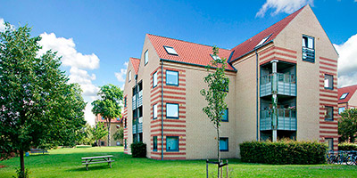 lyngby_roerdams_have.jpg